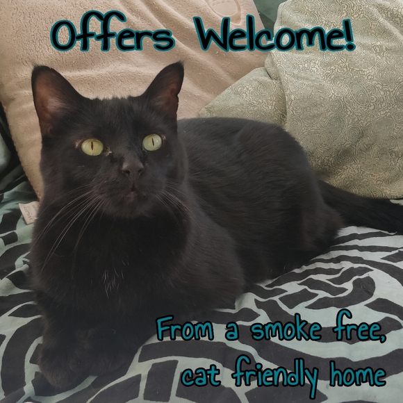 Silky map blouse - Picture 9 of 9